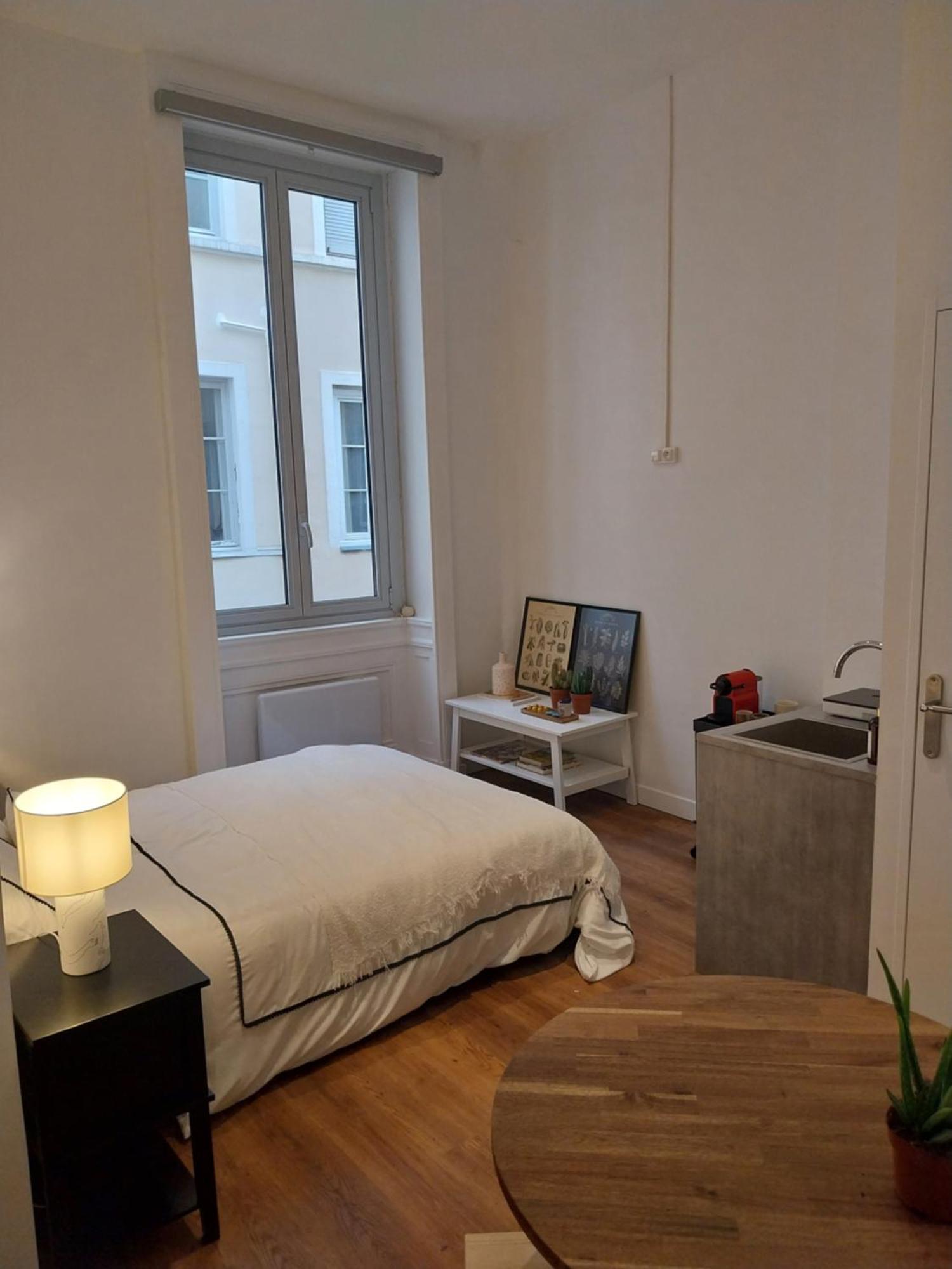 Appartement Place Des Terreaux Presqu'Ile Lyon Dış mekan fotoğraf
